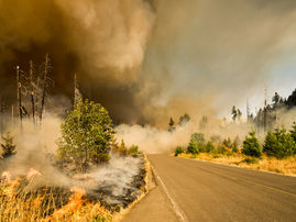Science Roundup: Wildfire