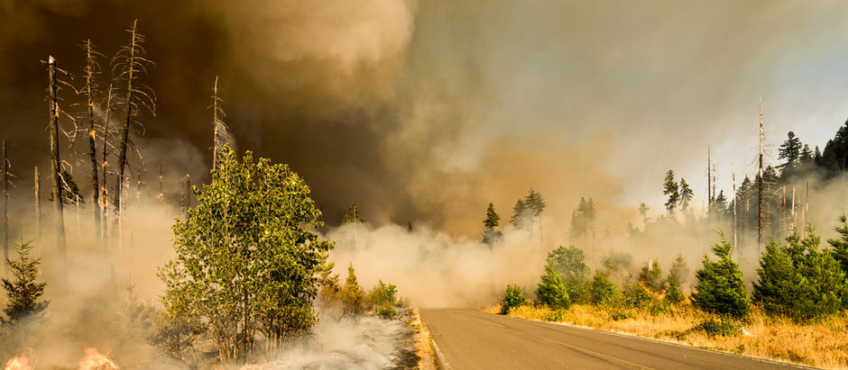 Unleashing the Elemental Fury: Exploring the World of Fires