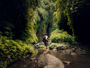 Jungle River