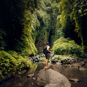 A Jungle Story