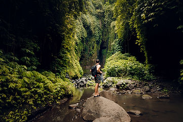 Jungle River