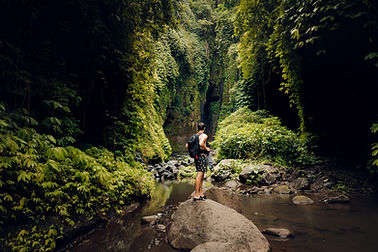 Jungle River