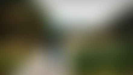 עוגן בים סוער – קשר הורה-ילד כגורם תמיכה הדדי בתקופה של משבר וחוסר וודאות