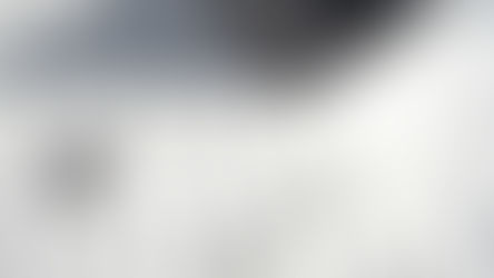 Data Management Strategies for Business Growth