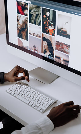 Browsing the Web