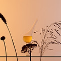 Aceite de Cosmética Natural