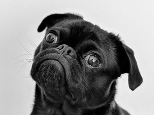 【大切なお知らせ】車検見積りについて