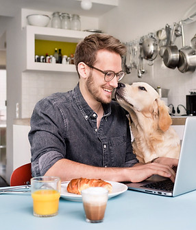 Homeoffice mit Hund