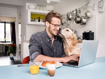 Our Review of Two Job Search Sites: Indeed and Seek
