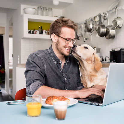 Homeoffice mit Hund