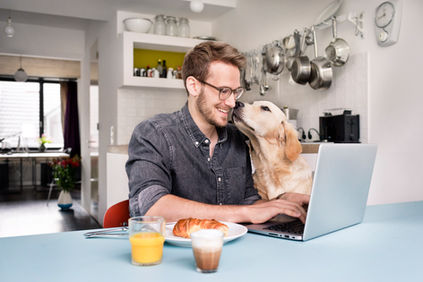 Man working in kitchen at home at his laptop with dog by his side