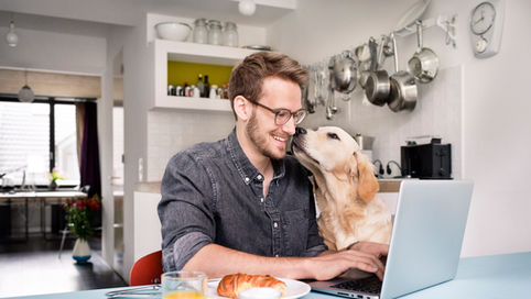 Man working on laptop, dog kisses him