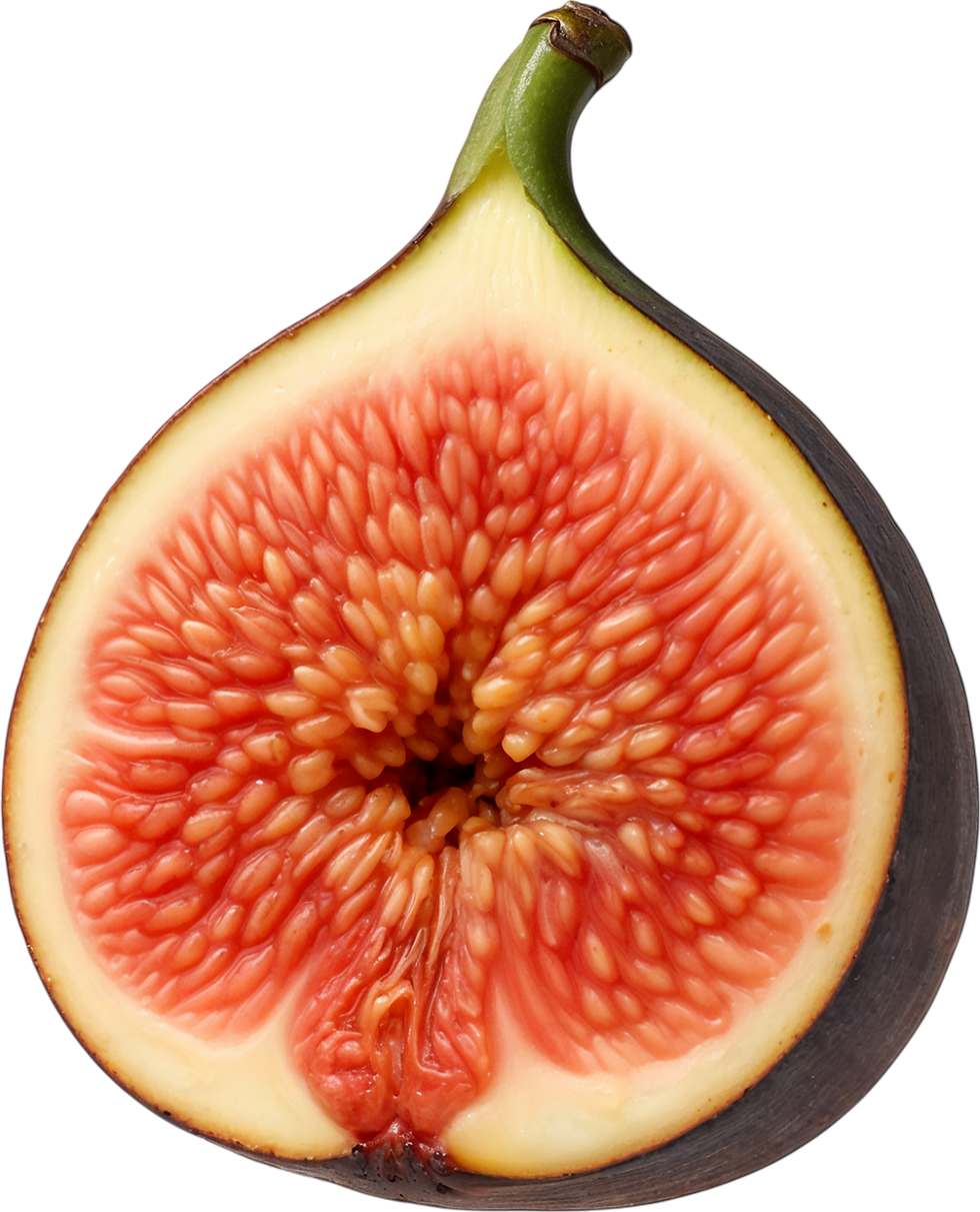 Sliced Fig Closeup