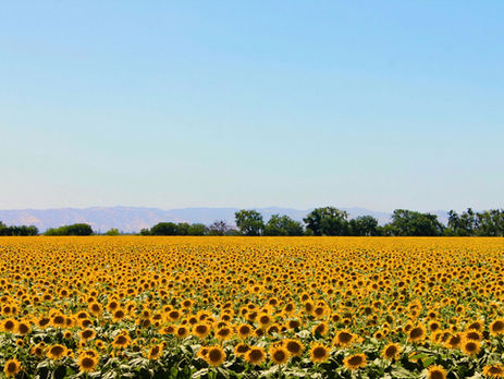 Funding Local Climate Action: 10 Practical Tips for a Stronger Funding Strategy