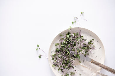 naturopathie fonctionnelle approche globale de la santé