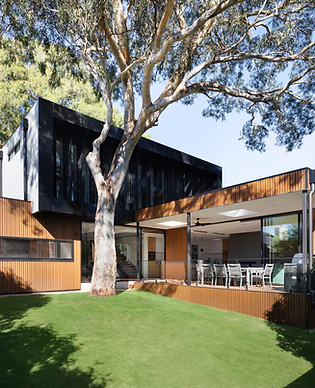 Luxury house