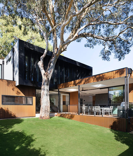Luxury house