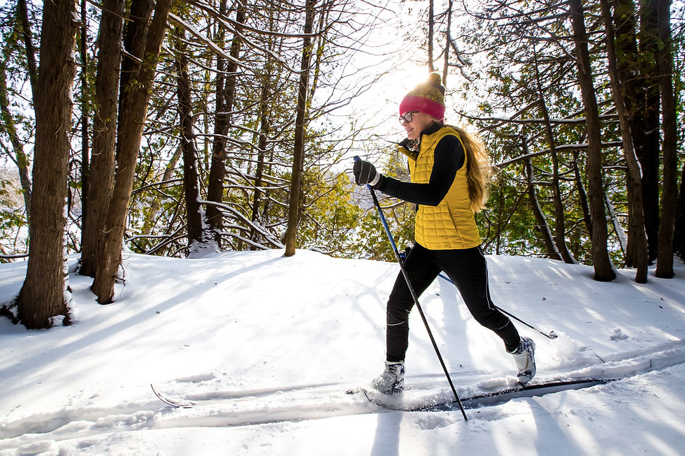 Edmonton Physiotherapist Skiing
