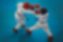 Teakwondo