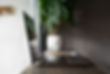 Laptop Plant Reflection