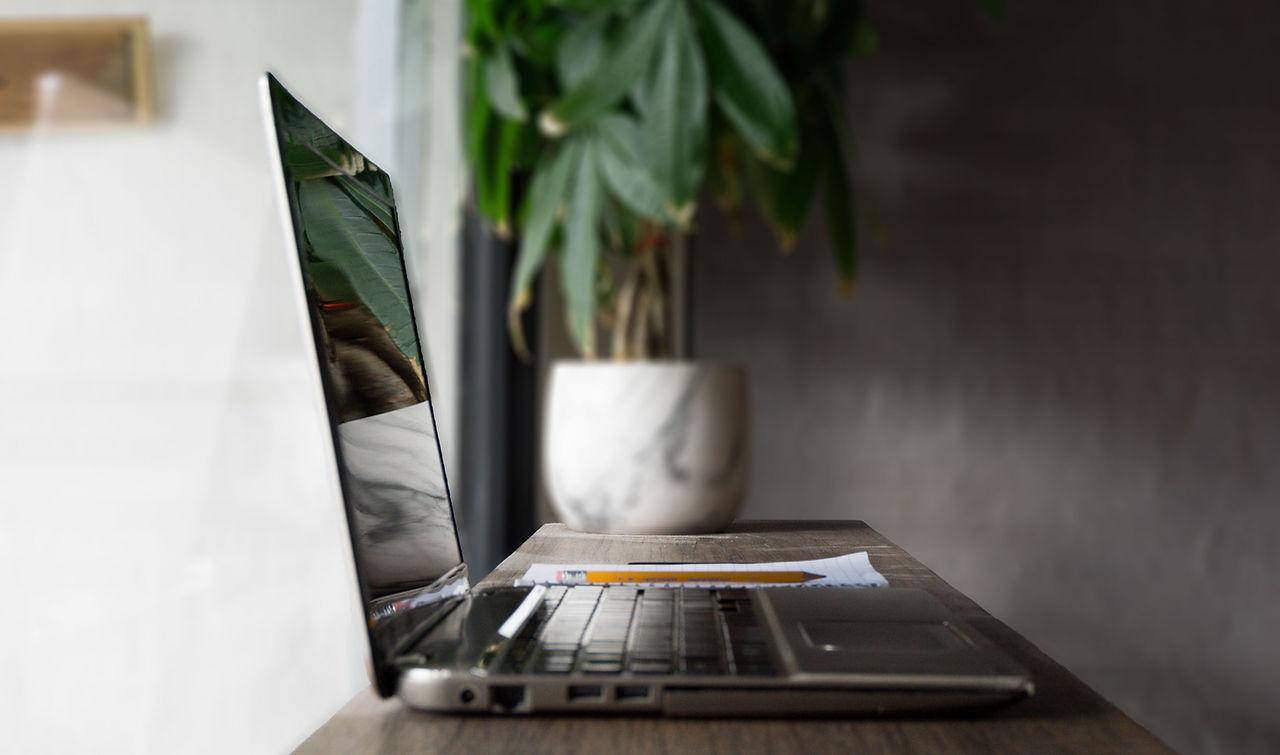 Laptop Plant Reflection
