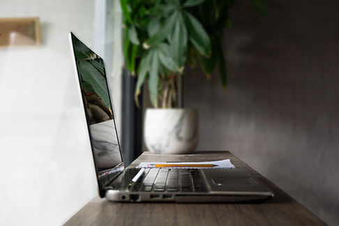 Laptop Plant Reflection