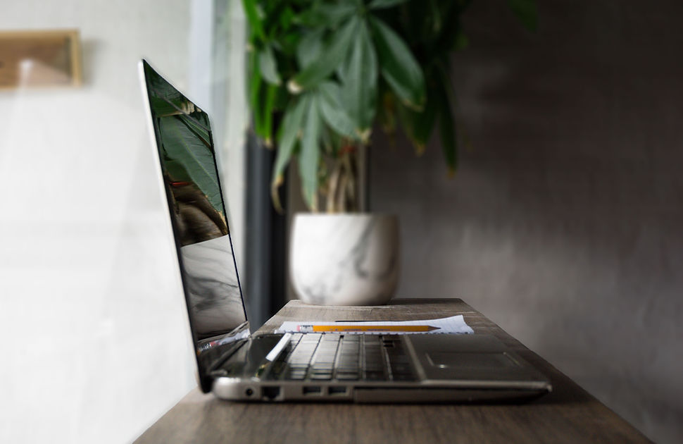 Laptop Plant Reflection