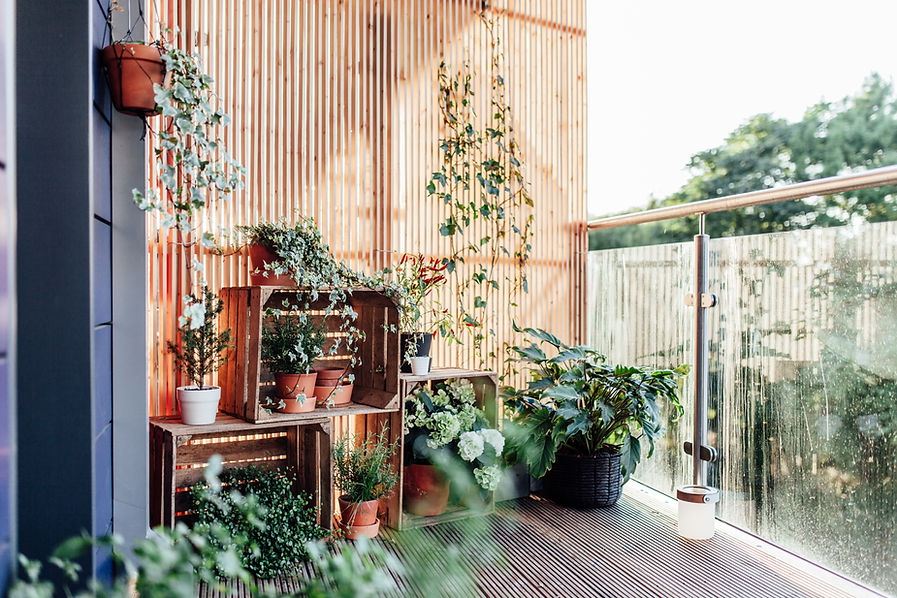 Plantas no terraço
