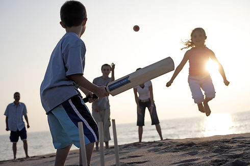 Family Playing Cricket