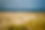 Sandy Beach