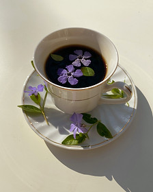 Petals in Tea