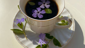Herbal Teas and Cancer: Comfort and Support in Every Cup