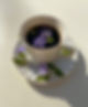 Petals in Tea