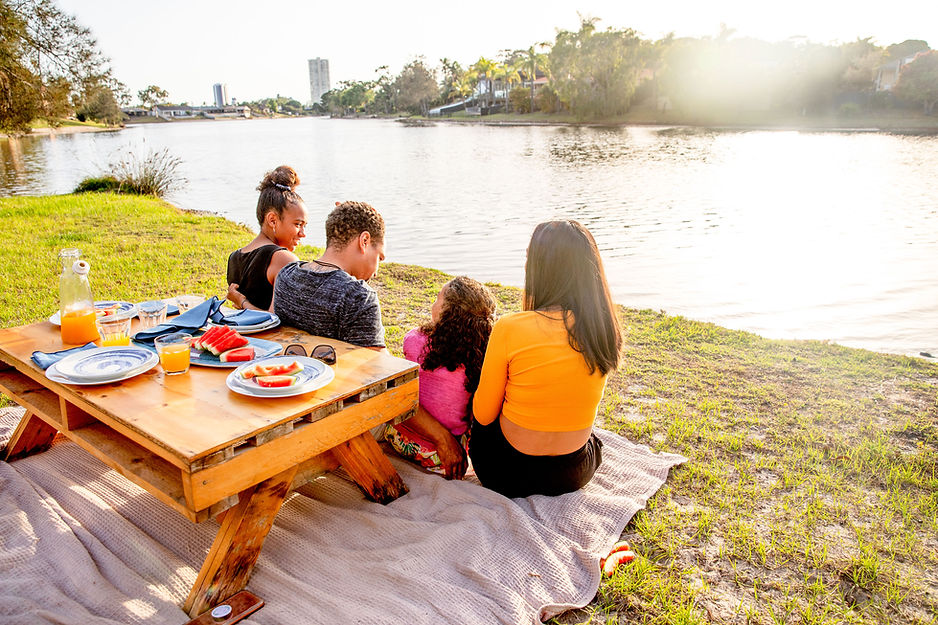 picnic in the park with family