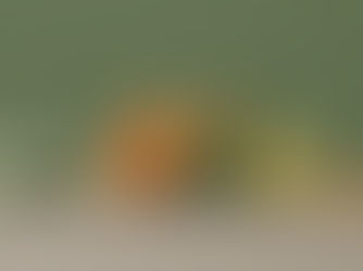 What Fiber Really Does For Your Body