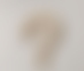 FAQ For Sanitary Articulation Plan