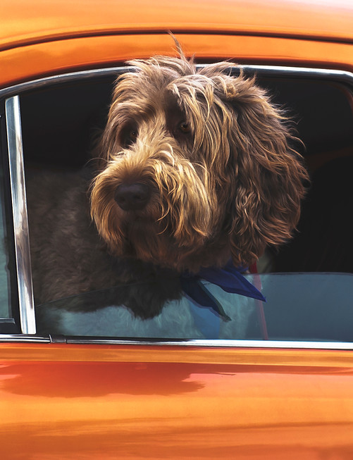 Going for a Drive