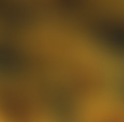 夏季休業のおしらせ