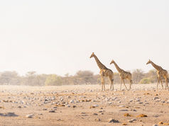 Facing climate challenges through new partnerships