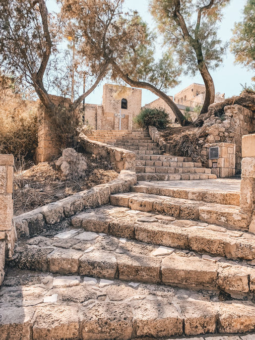 Promises of the Patriarchs: Israel's "Afterward"