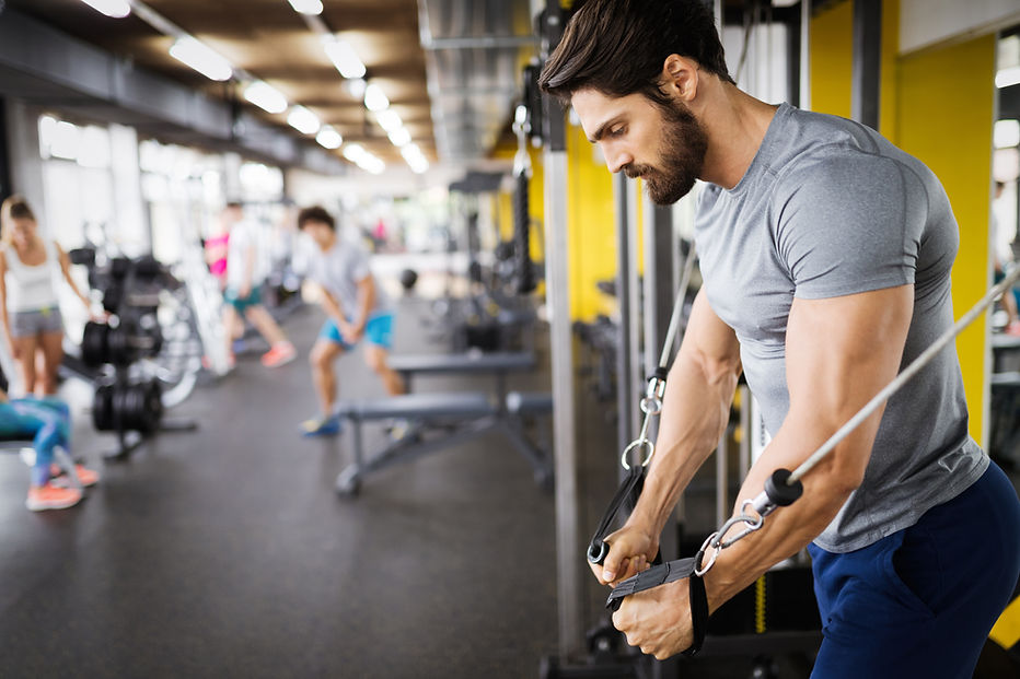 Bodybuilding in the Gym