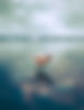 Dog at the Beach