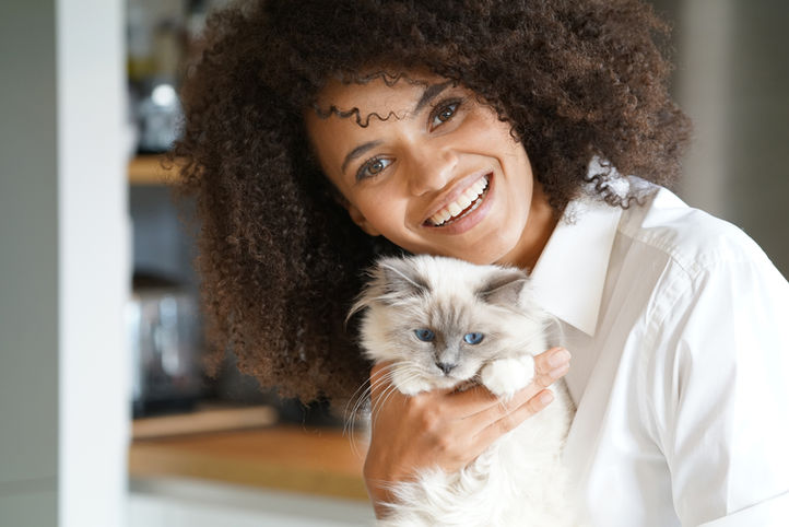 Jsi kočka nebo pes?