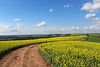 Countryside Road
