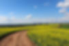 Route de campagne