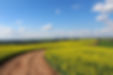 Countryside Road