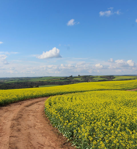 Route de campagne