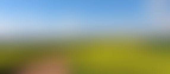 Ce qui va changer à la rentrée de septembre...