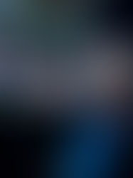 Eiweißreiche Mahlzeit mit Lachs, Quinoa, Brokkoli und Nüssen – Symbolbild für gesunde Ernährung, Muskelaufbau und Regeneration durch Proteine.