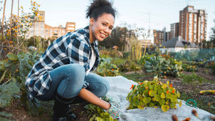 Secrets To Profitability For Market Gardens